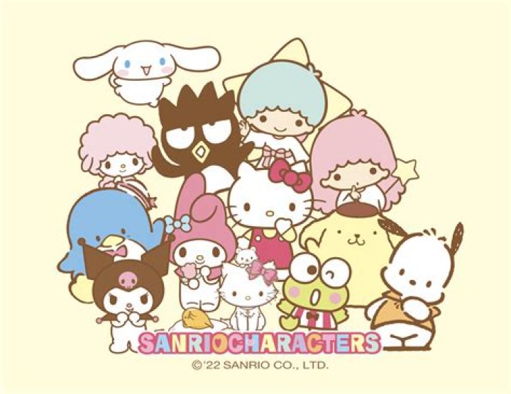 Unwrapping the Charm of Cinnamon Hello Kitty: A Sweet Sanrio Star